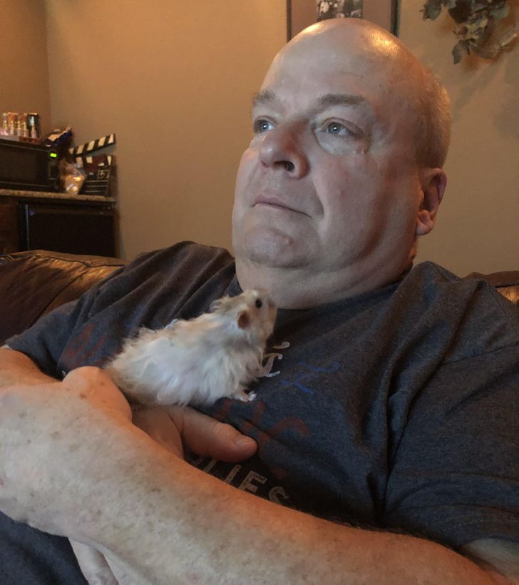 c95ea25084962b2113759ed4ce