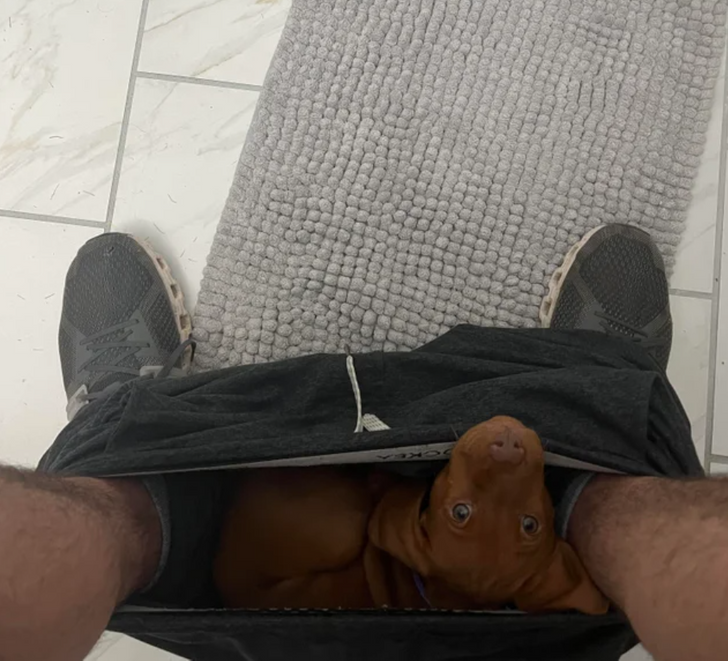 c963c95566a9e6e9c83c5e3678