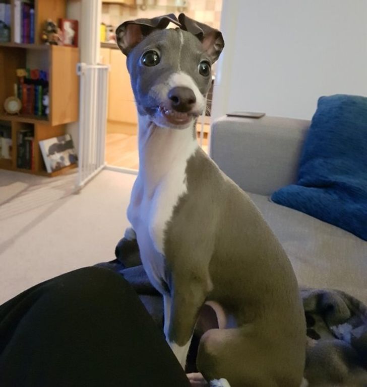 c9655151178f567b7212d1c248