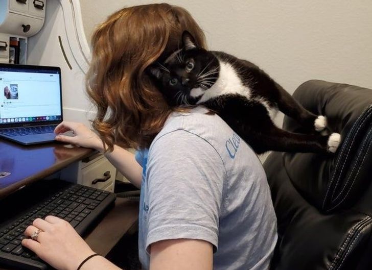 c9698b5094b7832dd985d1ed7d