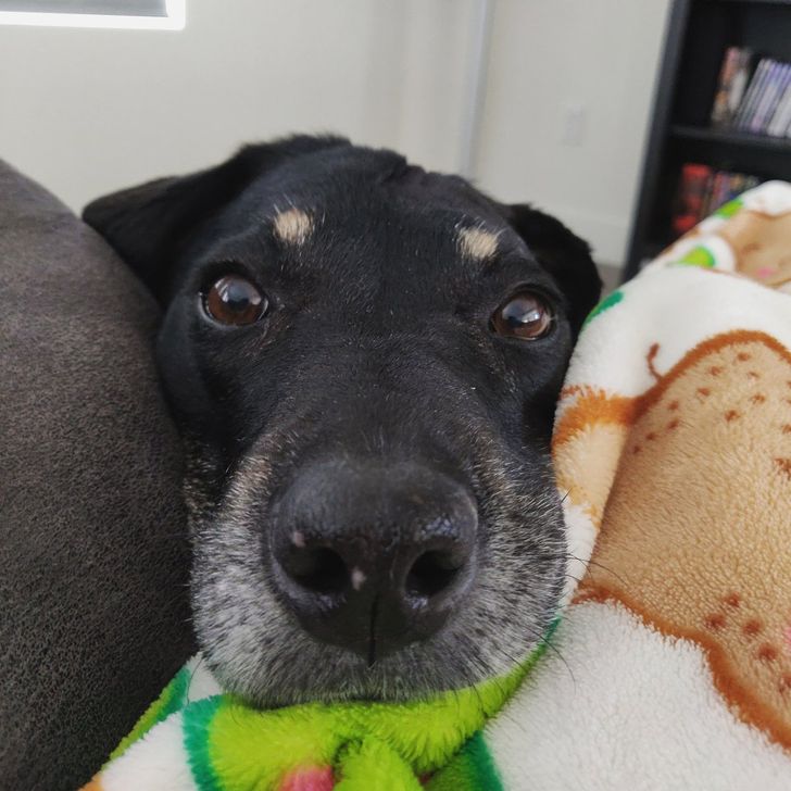 c969a057509e3396ce49bb01ed