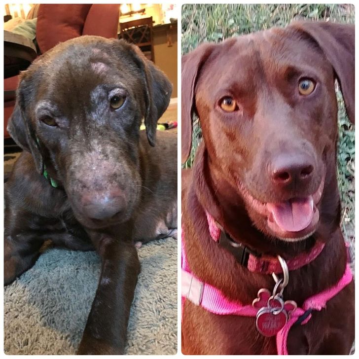 c96ed15138b479fb3a64996c7c