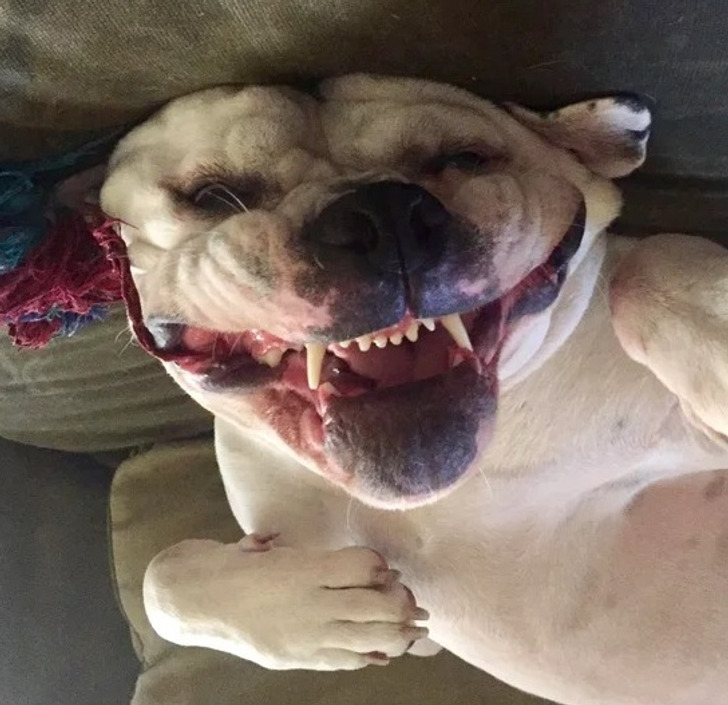 c978e35655b699fefd4383f7f1