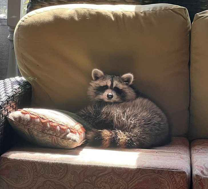 c9791152c8bf4bb5e278dbb360