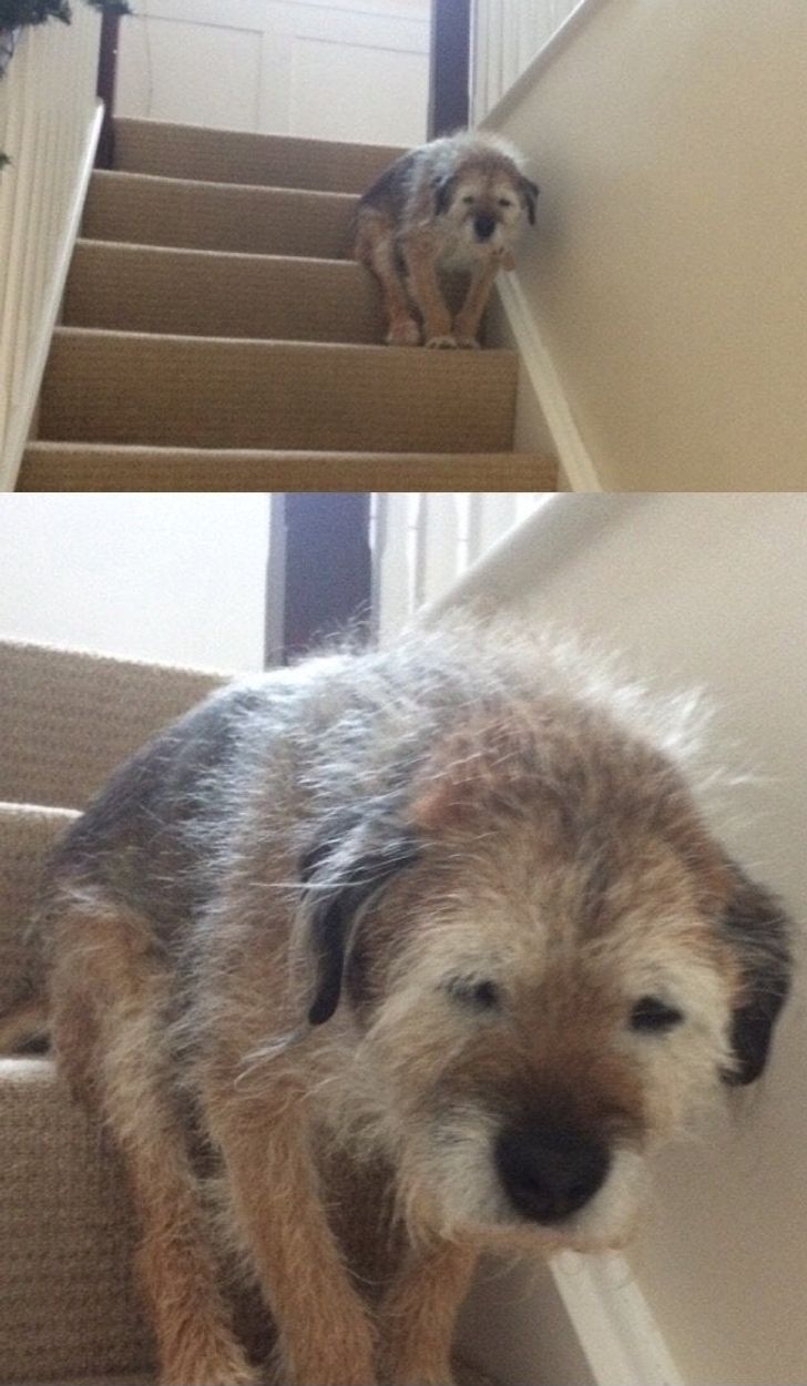 c988f255ab95862f0e21d93fa6