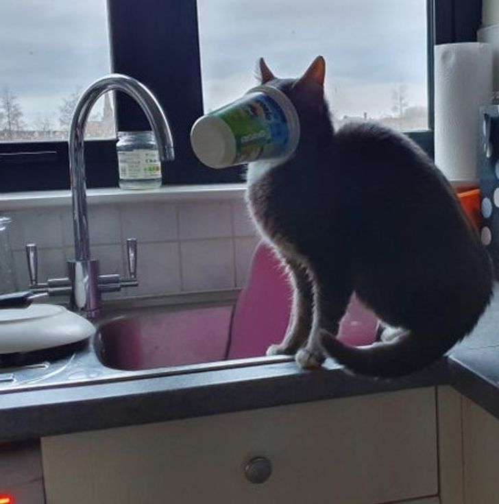 c9898e55cdb790d4b005b62522