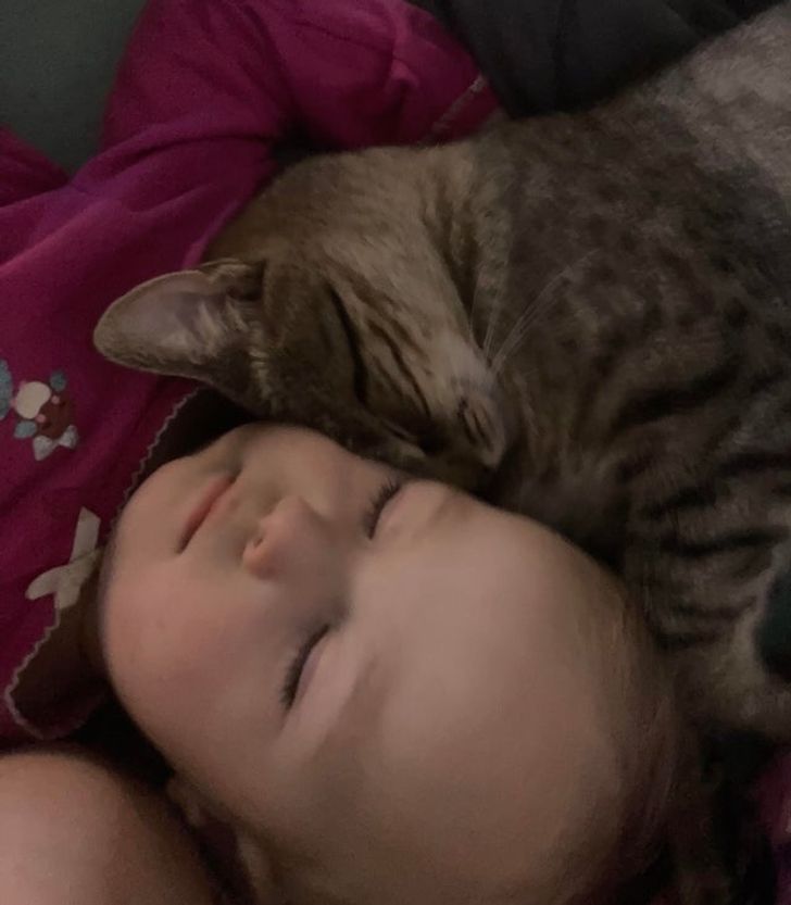 c98ceb5a84a18728aa419f686e c98ceb5a84a18728aa419f686e