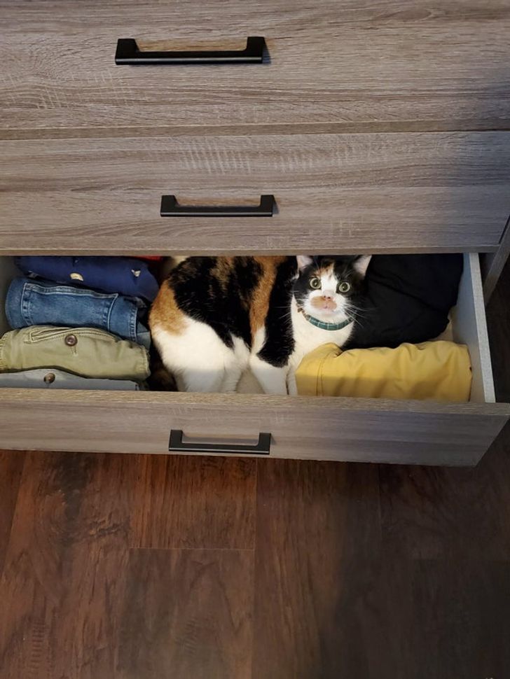 c992de5f63a42feeedb8f8a045