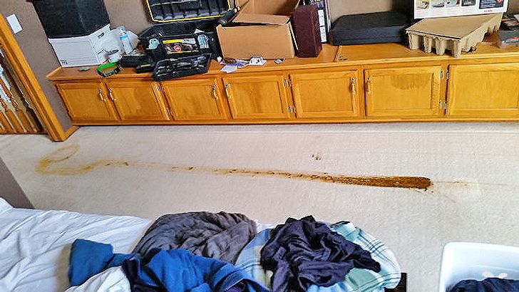 c9943a5888ade4e8893ba661de