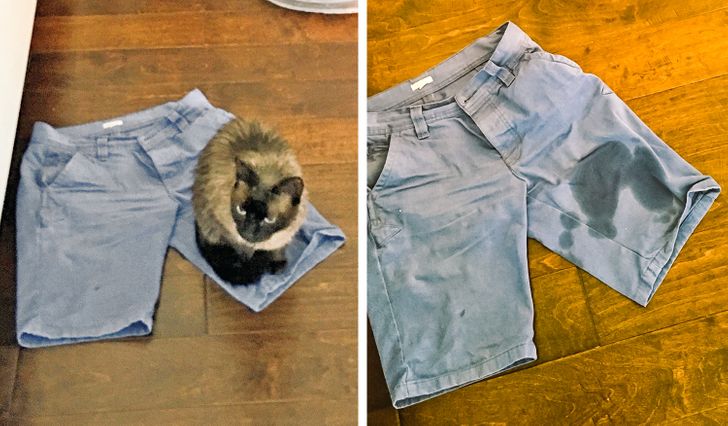 c9989855b8b10ea3ca6f1e44b9