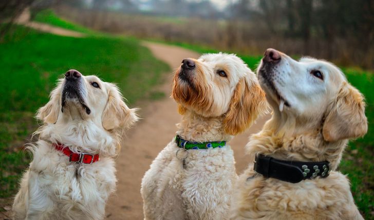 c99cf75f4681154ebe0ce97ee0