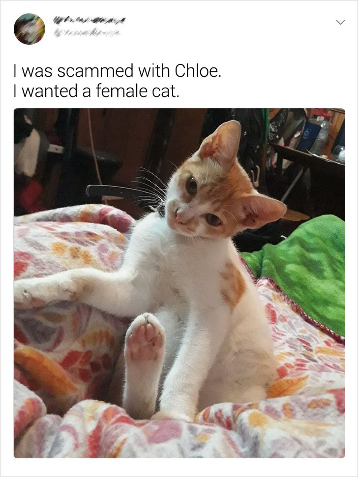 c99df857ec9ef5b1b8072da21d