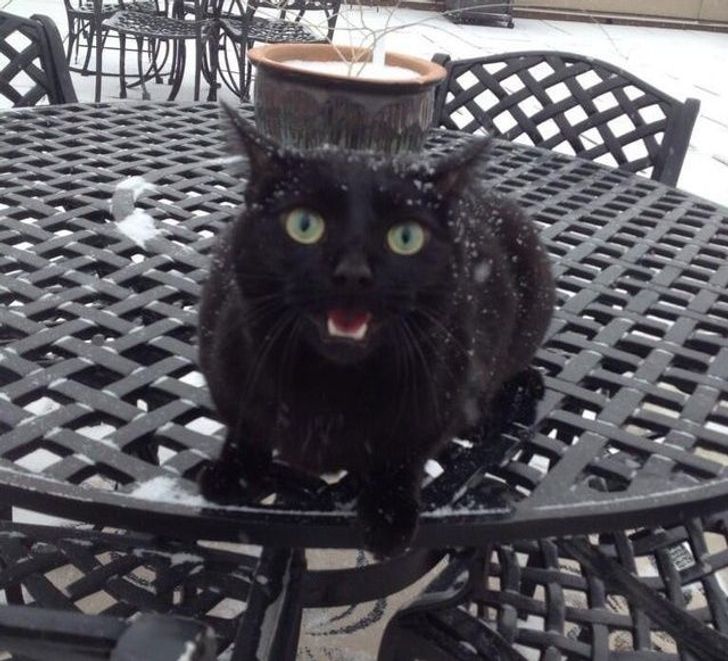 c9b450519284f63885e1afbb70