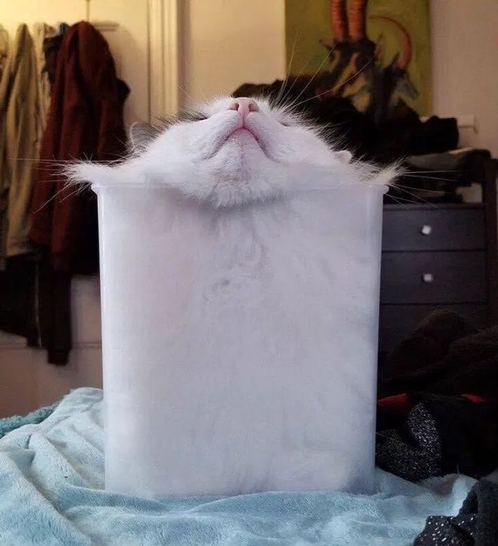 c9b6df5936b187376d7175bc81