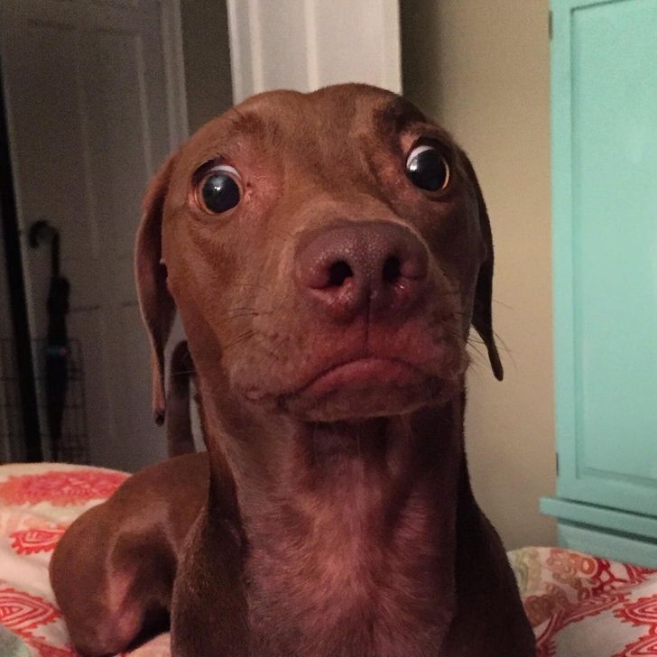 c9ca105b81a726a2114e0d2210