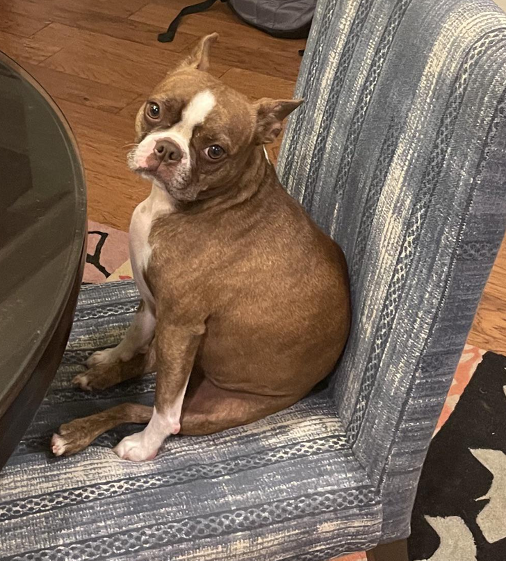 c9cc46553cba6f0dad9815a796