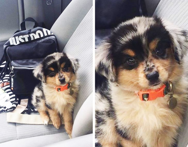 c9cf675569909e317a706a3002