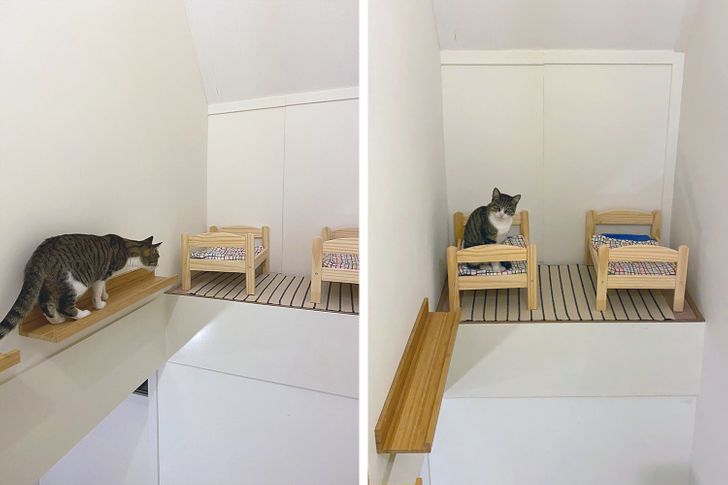 c9d00151c78207eff4bd4364a6