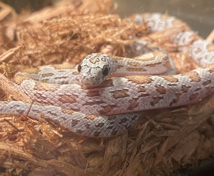 c9e1ab5717a8adf908c4bd0b46