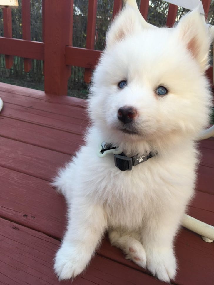 c9f82259f281287fc7d1d5d561