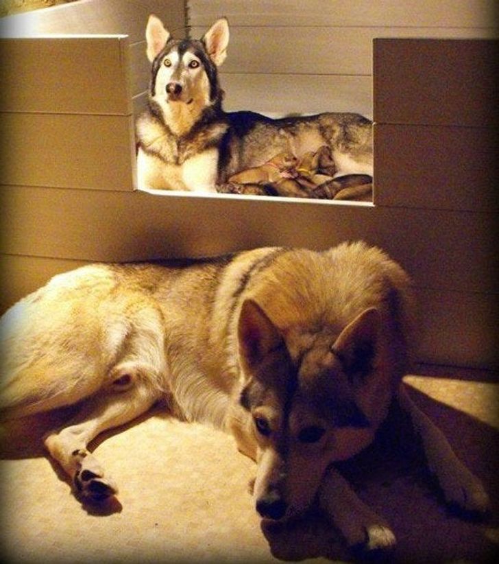 c9f9ca545bbd09f33ccf296306