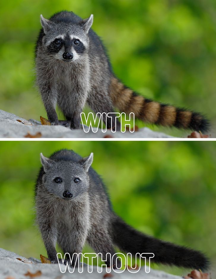 c9fabf56ceafe4b58acdcf2b15