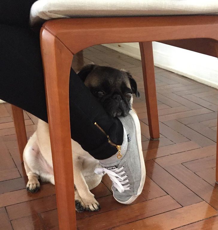 ca0491576f8ccb4d2ed66b237a