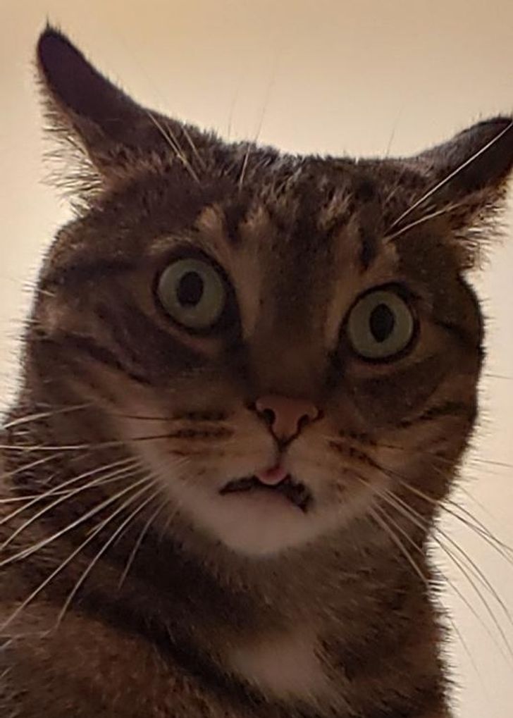 ca056f5bbd9b903dc76faee016