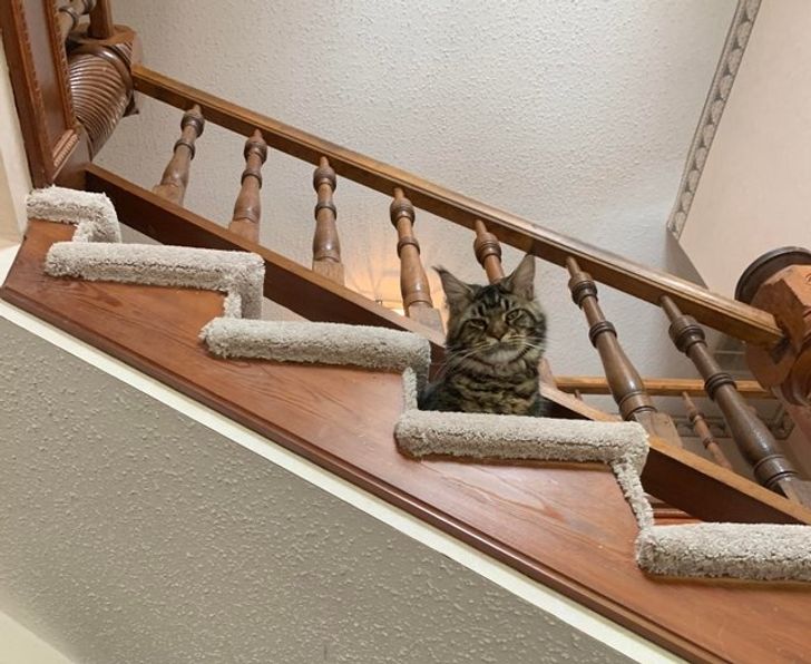 ca0cdd5679a722493343da411b