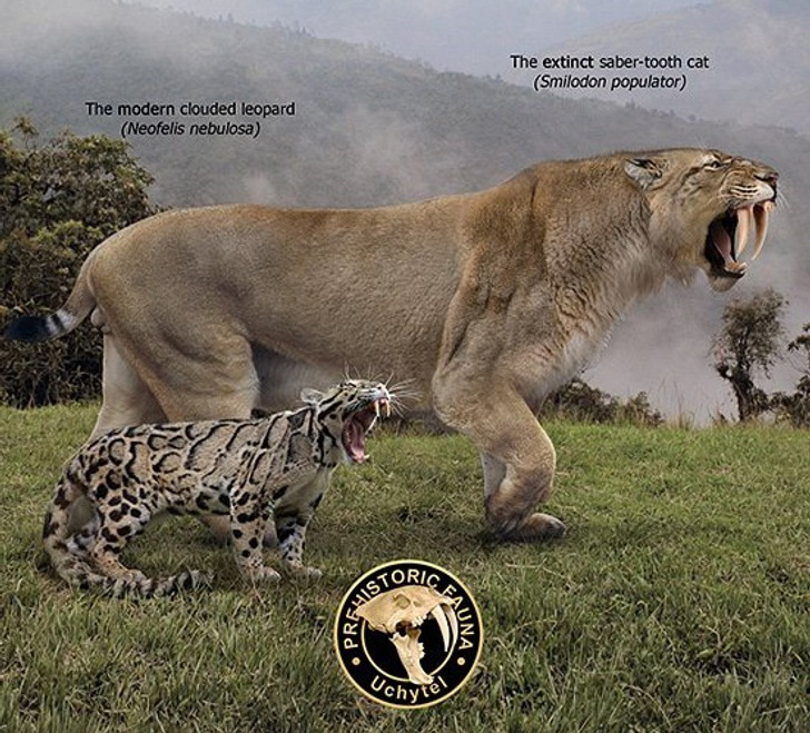 ca1cf45a198f09c980b9ea4e0c