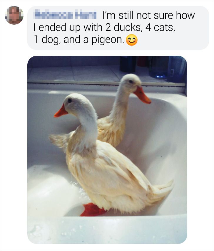 ca1e8757b286fffa5590aabe12