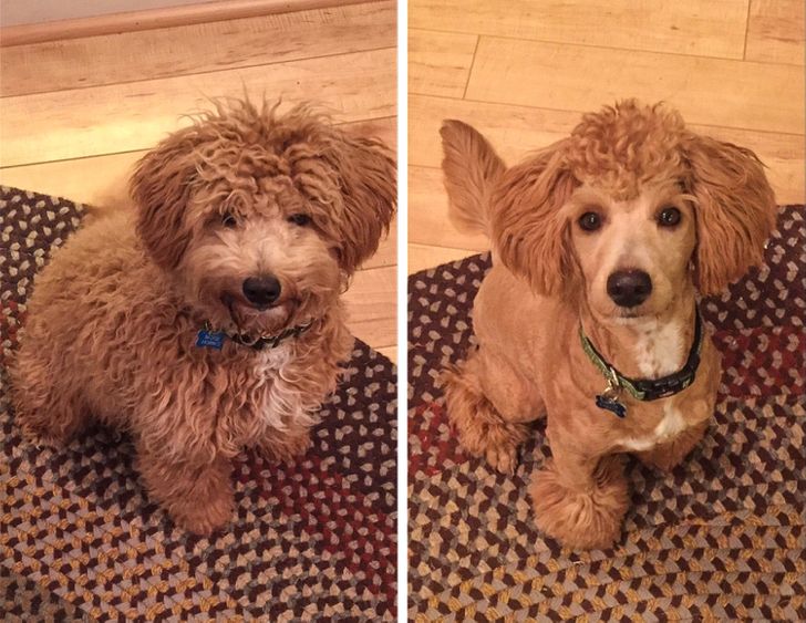 ca20b55f61b54bccc0e629e755