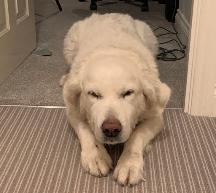 ca23685d6d8887144babb68b03