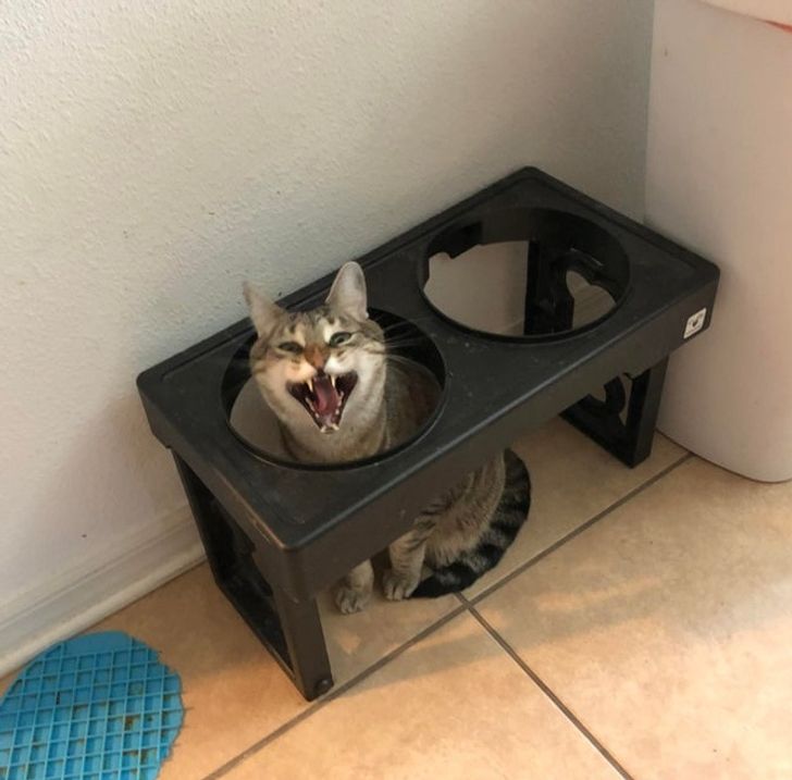 ca2ae551fb8cf884abd86de6d0