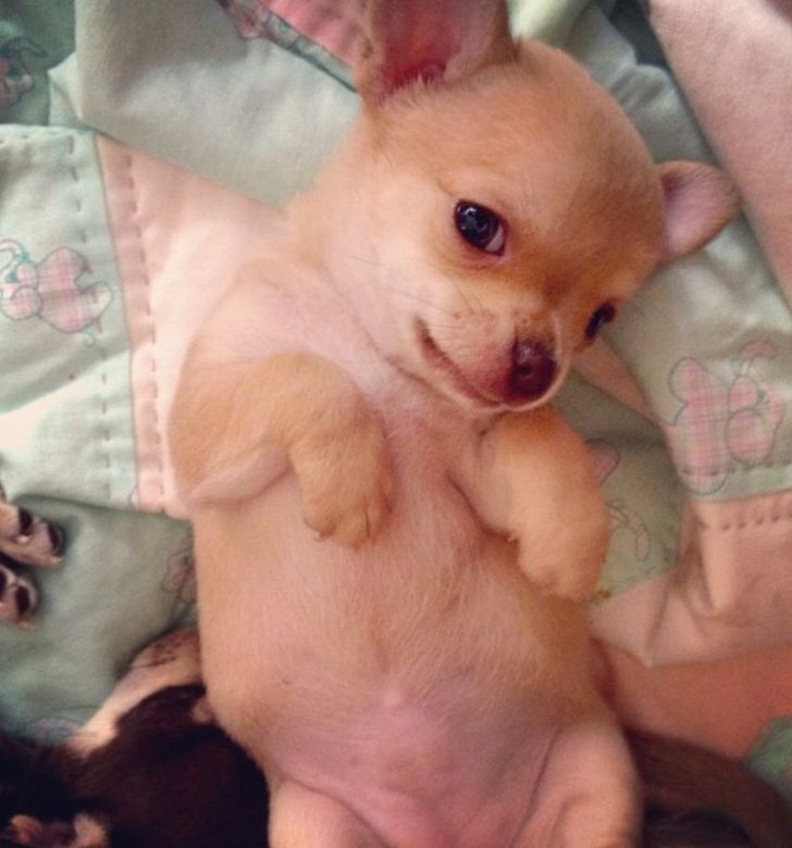 ca2bb353719fffcf666c8f80f3