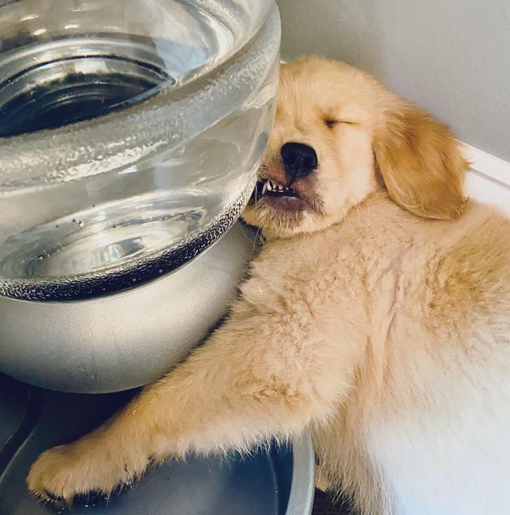 ca2d205ce6a64af786ada759e9