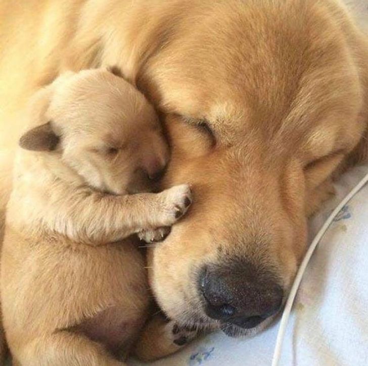 ca2dd1505b9a6bc86b2e603683