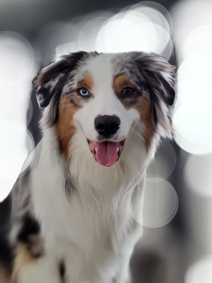 ca3c275323a53fe0b02b22d5f3