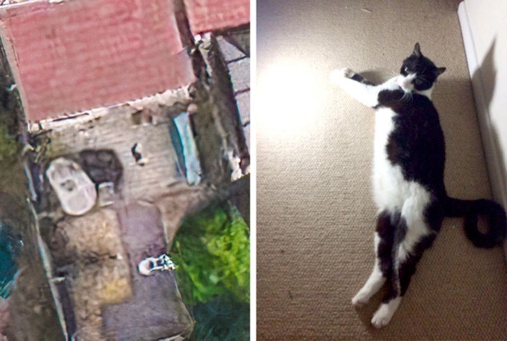 ca44f05b45bfa14ee4300ab4c2