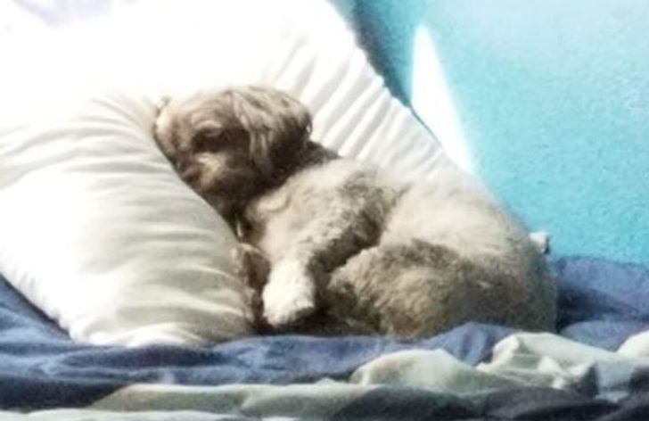 ca46205d129628517fb63b22fc