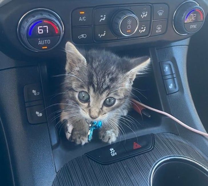 ca4e675ae98cd3d894c0ac9224