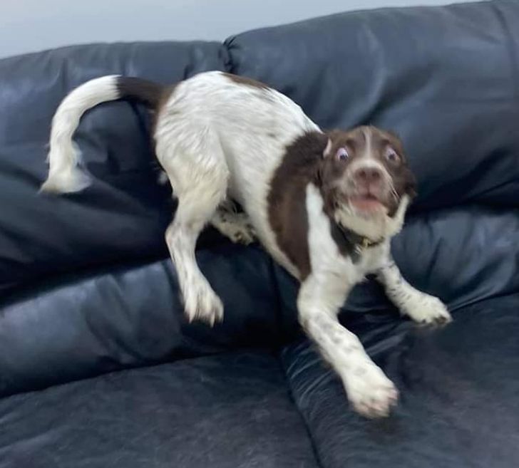 ca4fe45813b96697dbecbc95d6