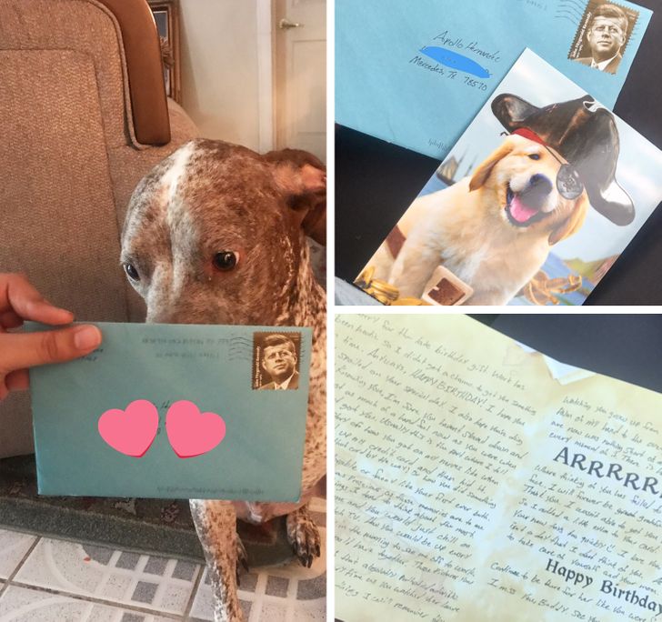 ca56aa5b14ab5fc9b6e403fbd4