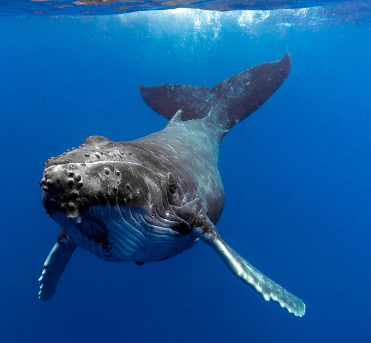 ca5f7c5874b58c86b2c71f6767