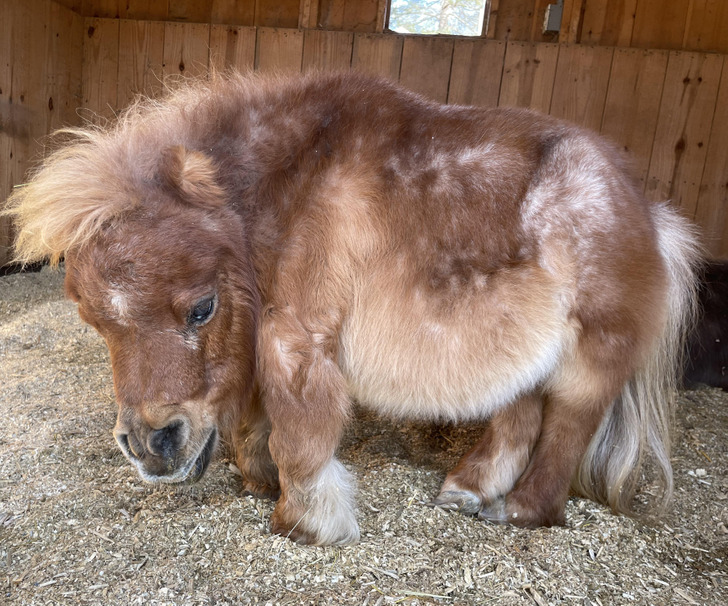 ca6024590d8816dea88e76f913