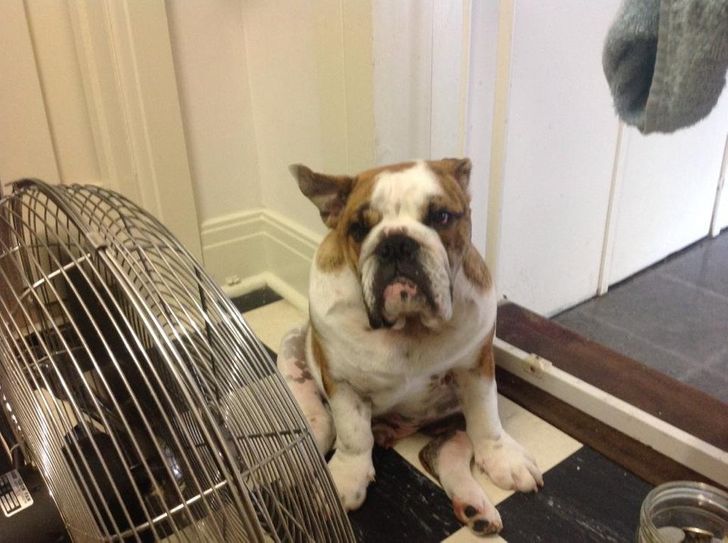 ca61b45db2a77e84dd1d24fedf