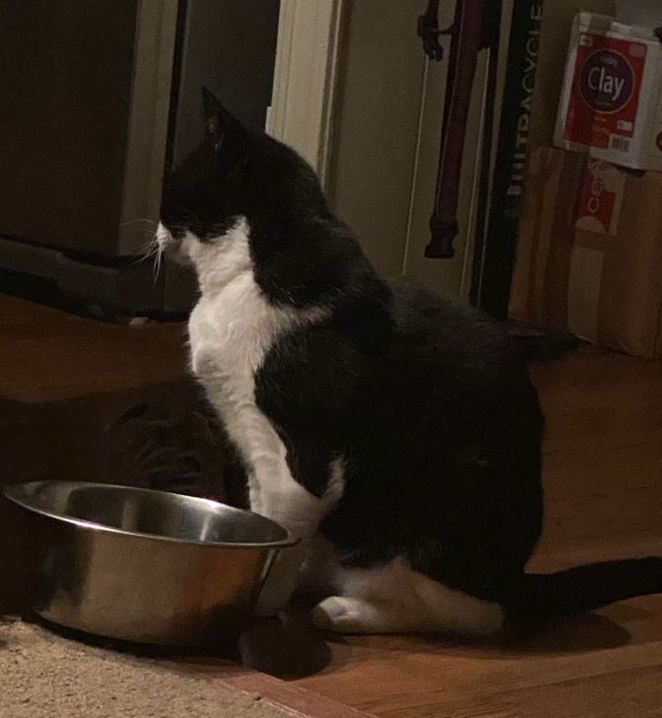 ca706653dba17bade294d84dee