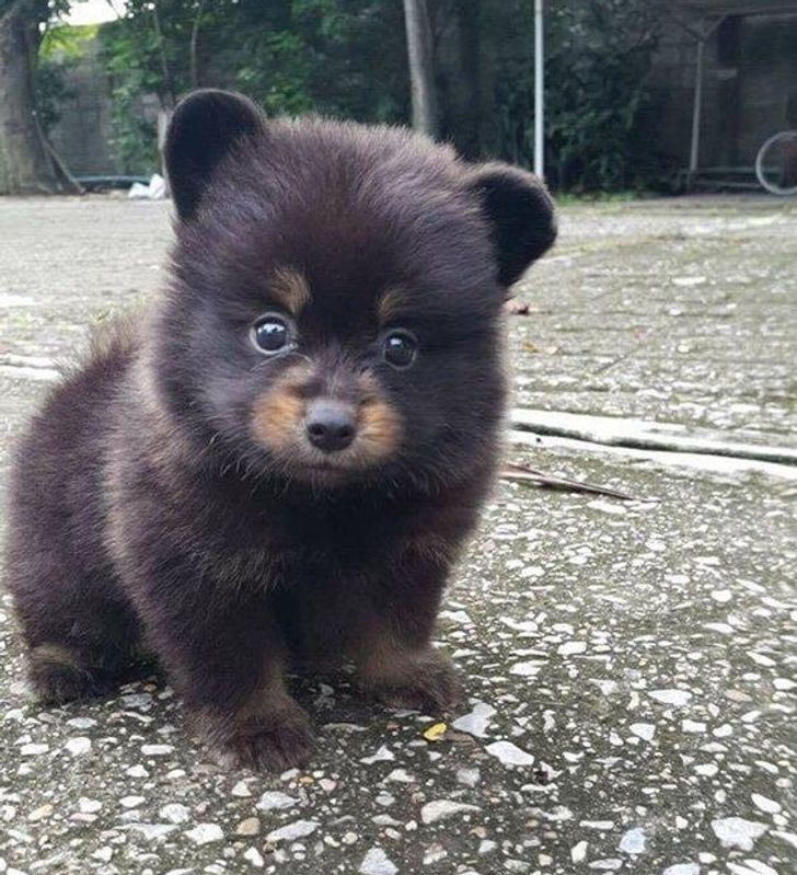 ca764a5d42b6e3f2ed46de389d