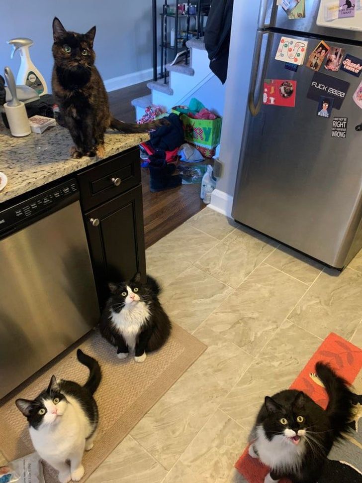 ca8eec54b8b0e67f2da851586d