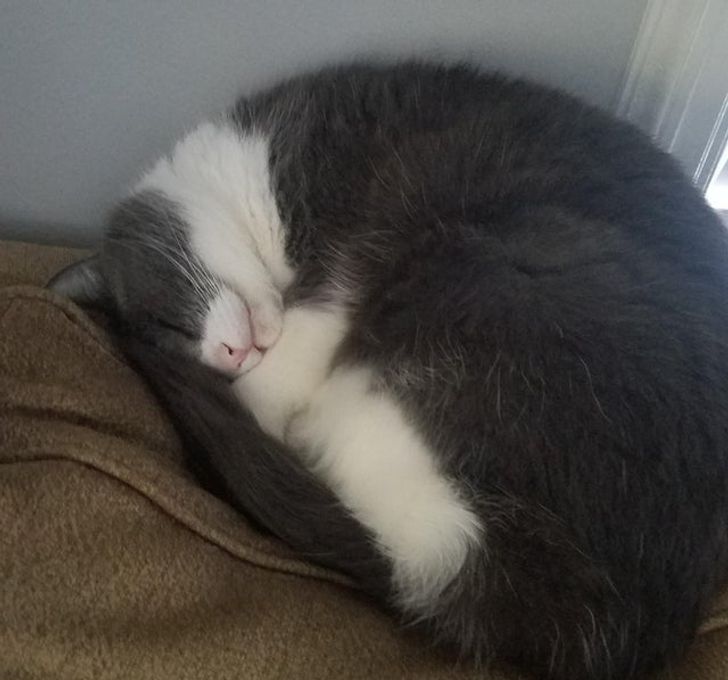 ca8f8e57b985a550e2e34f89a7